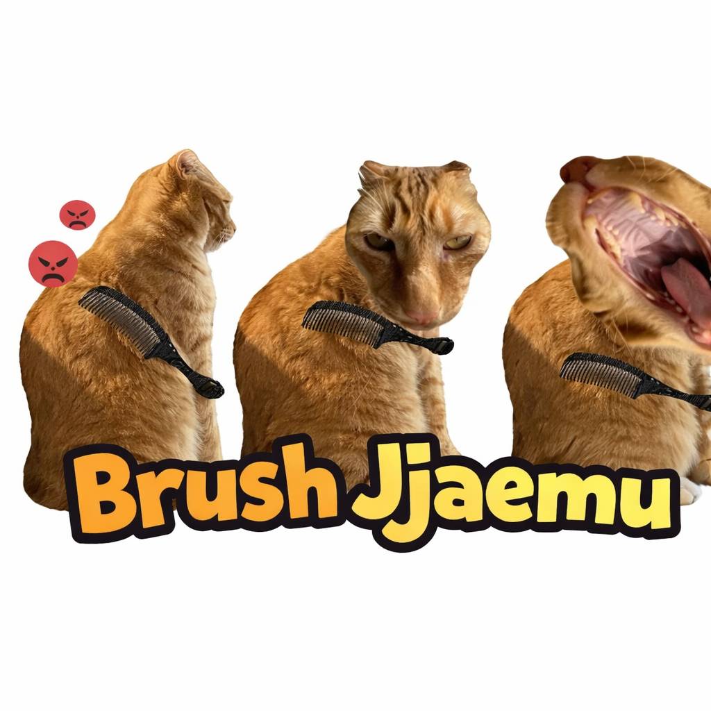 How to play Brush Jjaemu