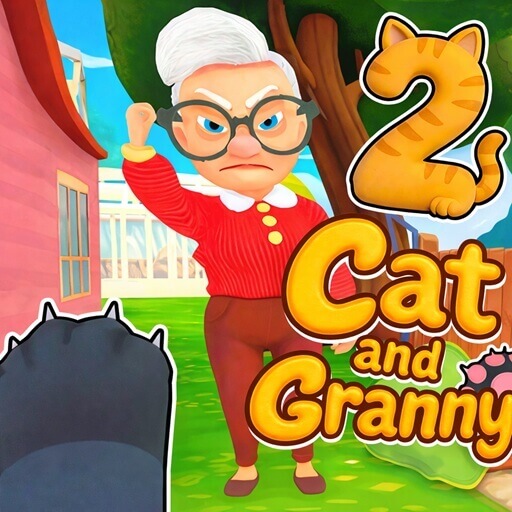 How to Play Cat and Granny 2